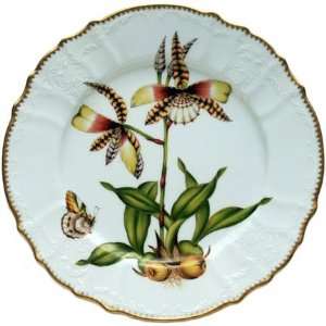  Anna Weatherley Orchid 10.5 In Dinner Plate #4
