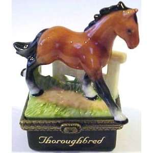  Thoroughbred Horse Porcelain Hinged Box: Home & Kitchen