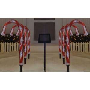  SET OF 6 SOLAR CHRISTMAS CANDY CANE LIGHTS: Everything 