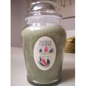 Yankee Candle Ginger & Green Tea Scented Candle:  Home 