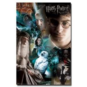   HARRY POTTER 6 POSTER 22X34 GROUP PIC MOVIE HP6 9948