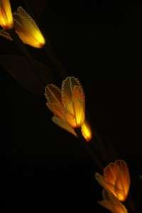 Lily Orange & White Flower Floor Lamps ~ LED Lamplight  