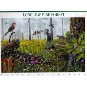  Longleaf Pine Forest 10 x 34 cent US Stamps 3611 NEW 