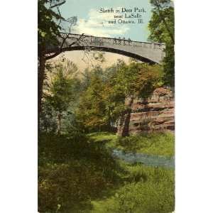   Vintage Postcard View in Deer Park   LaSalle Illinois 