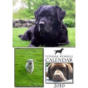  Labrador Retriever 2010 Wall Calendar: Office Products