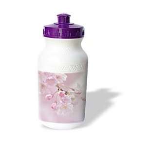     Kwanza Pink Cherry Blossoms   Water Bottles