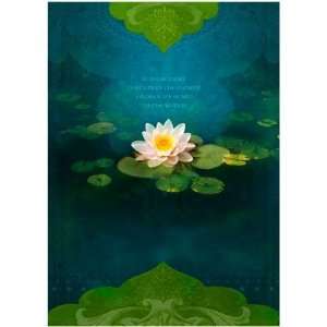  Tree Free Greeting Cards Bouquet of Light (pack of 6 