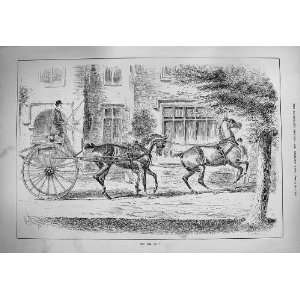  1884 Antique Print Horses Man Carriage Mansion House