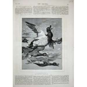    1879 Essex Clayton Ducks Birds Flying Nature Art: Home & Kitchen
