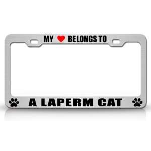  MY HEART BELONGS TO A LAPERM Cat Pet Auto License Plate 