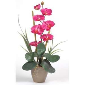   Stem Phalaenopsis Orchid Silk Flower Arrangement: Home & Kitchen