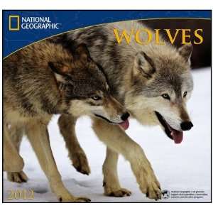  Wolves   National Geographic 2012 Wall Calendar Office 