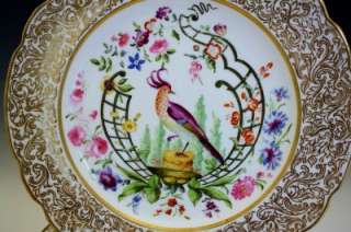 SET 8 FRENCH C1830 OLD PARIS EXOTIC BIRD HAND PAINTED PORCELAIN DINNER 