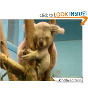 Start reading Koala Rescue  
