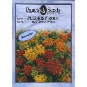  Butterfly Weed, Pleurisy Root: Patio, Lawn & Garden