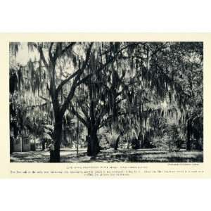  1926 Print Spanish Moss Trees Masonboro Sound North 