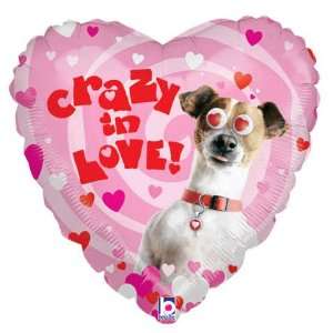  Crazy in Love Cute Dog Crazy Eye 21 Mylar Balloon: Toys 