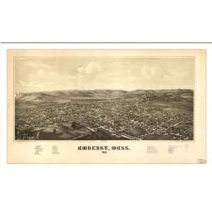  Historic Amherst, Massachusetts, c. 1886 (M) Panoramic Map 