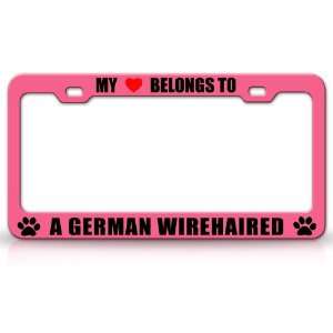  MY HEART BELONGS TO A GERMAN WIREHAIRED Dog Pet Steel Metal 