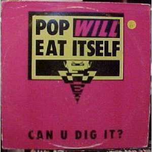    Can U Dig It   4 Mixes Us Dj 12 POP WILL EAT ITSELF Music