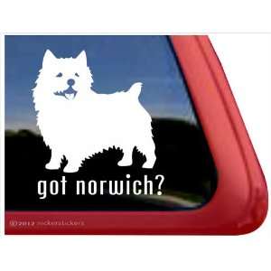  Got Norwich? ~ Norwich Terrier Vinyl Window Auto Decal 
