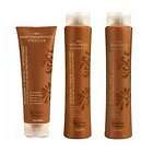 brazilian blowout shampoo conditioner and masque one day shipping 