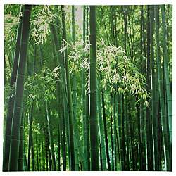 Bamboo Grove Canvas Wall Art (China)  
