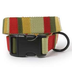  Red and Green Stripe Dog Collar M : Pet Supplies