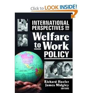  International Perspectives on Welfare to Work Policy 