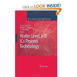  Level 3 D ICs Process Technology (Integrated Circuits and Systems 