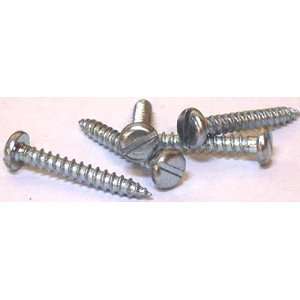 Self Tapping Screws Slotted / Pan Head / Type A / 18 8 Stainless 