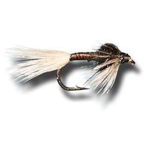  Black Quill Nymph Fly Fishing Fly: Sports & Outdoors