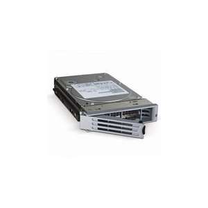  250GB Spare Drive for 1TB RAID Electronics