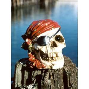   PIRATE SKULL money BANK and HALLOWEEN DECOR too!: Everything Else