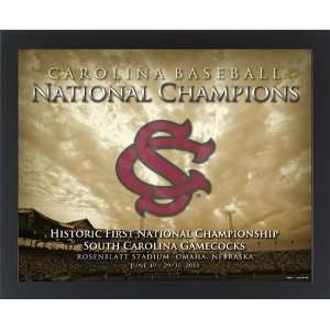 South Carolina Gamecocks 2010 National Champions Baseball Print (8 x 
