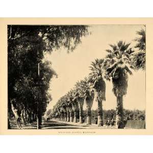  1906 Print Magnolia Avenue Riverside Southern Calif. CA 
