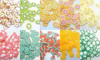 1000+ Polymer Clay Cane Fimo Fruit Slices Assorted N1  