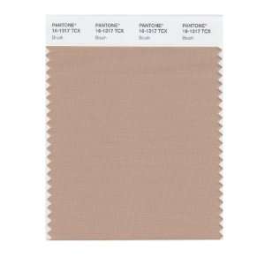   PANTONE SMART 16 1317X Color Swatch Card, Brush: Home Improvement