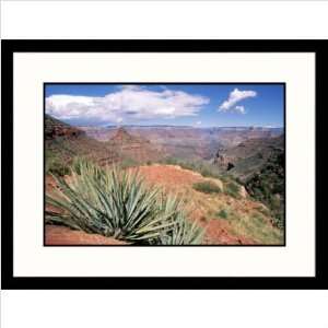  Grand Canyon National Park, Arizona Framed Photograph 