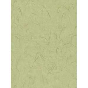  Wallpaper Refreshing Green WC1280714