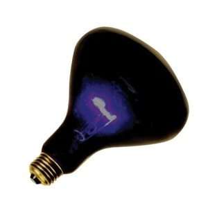 Black Light Bulb 75 watt: Home & Kitchen