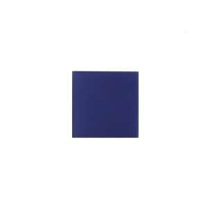  Noble Glass Tile 4 x 4 Cobalt Frosted Sample: Home 