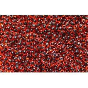  Czech Seed Beads, Red/Black, Size 9/0, 20g Everything 