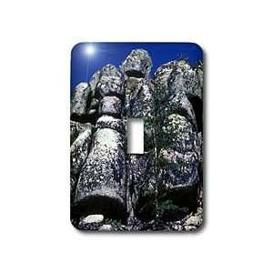   Columns   Light Switch Covers   single toggle switch