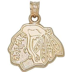  Anderson Jewelry Chicago Blackhawks 10K Gold Head Logo 