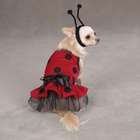 PetEdge Casual Canine Lady Bug Costume Sm