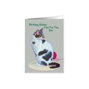   Birthday, Son, Green Eyed Cat, Ball of Yarn, Wishes Card Toys & Games