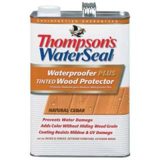 Thompsons WaterSeal 1 Gal. Natural Cedar Tinted Wood Protector TH 