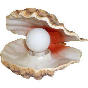   Progressive Color Changing Novelty LED Mood Light Pearl in Clam Shell