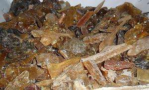 VERY BIG PIECES Fossil Copal Amber Unsearched Included 250 GM 